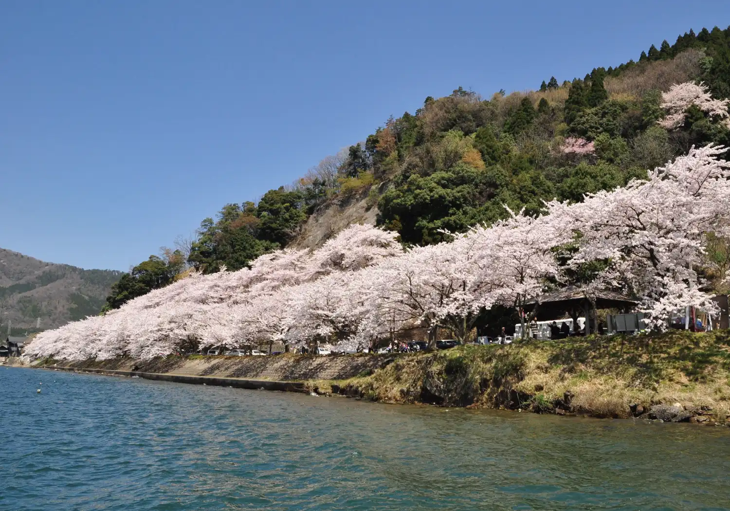 高島